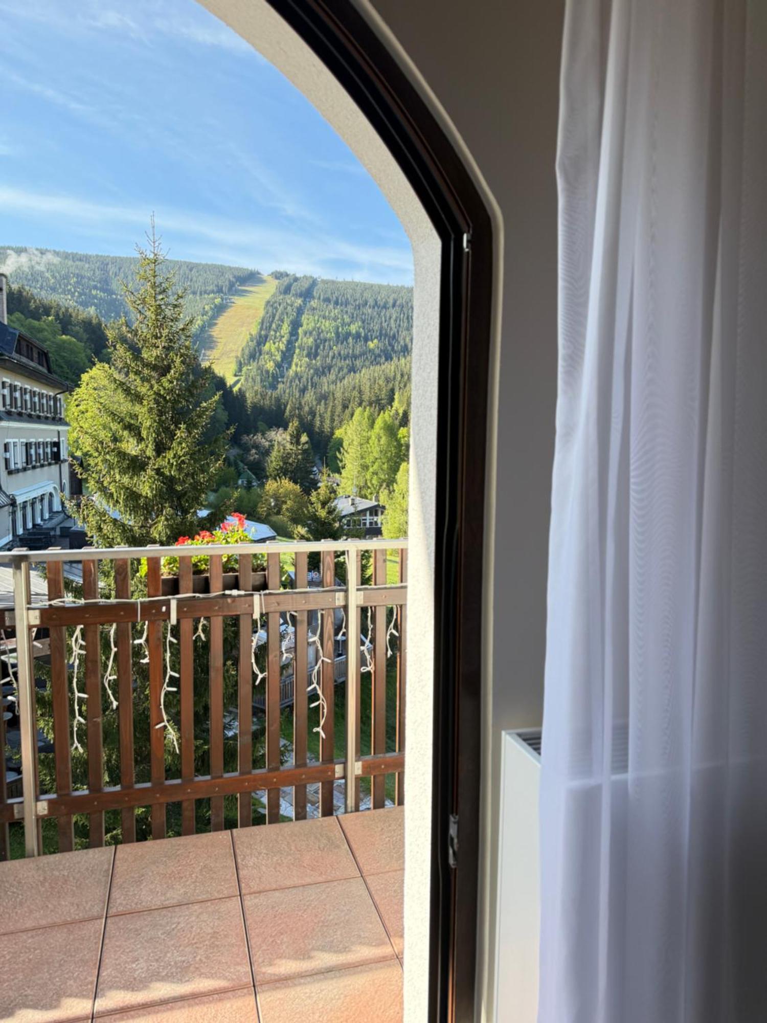 Отель Wellness Windsor